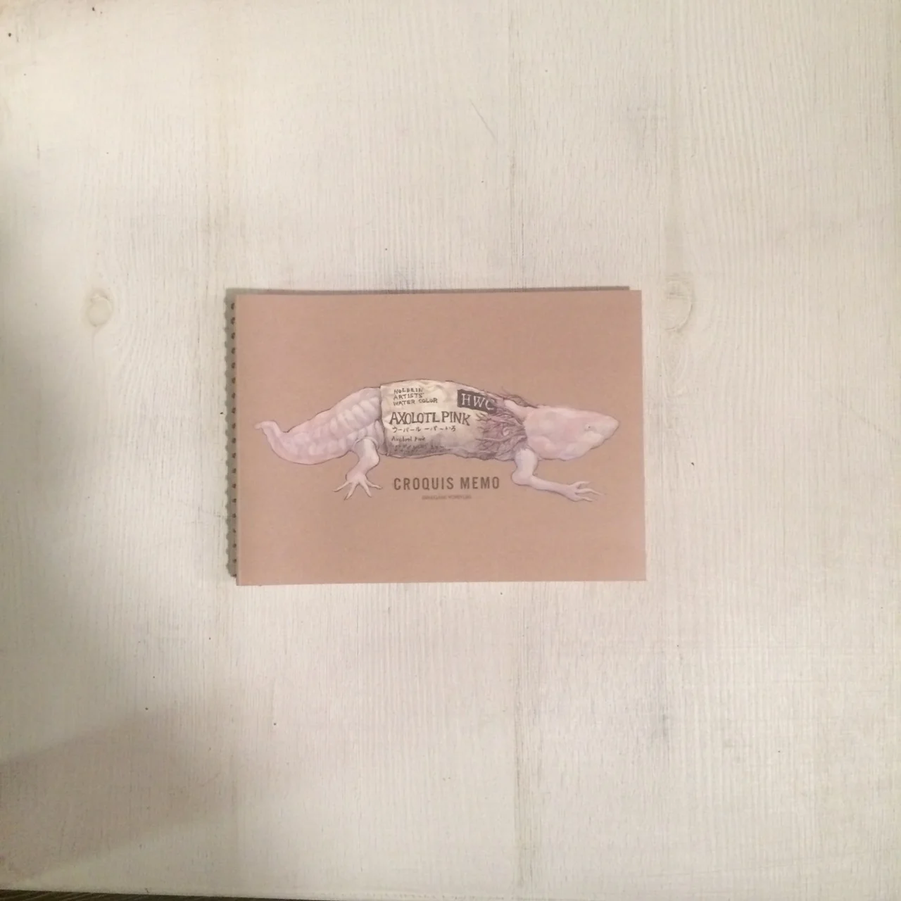 axolotl memo book.JPG