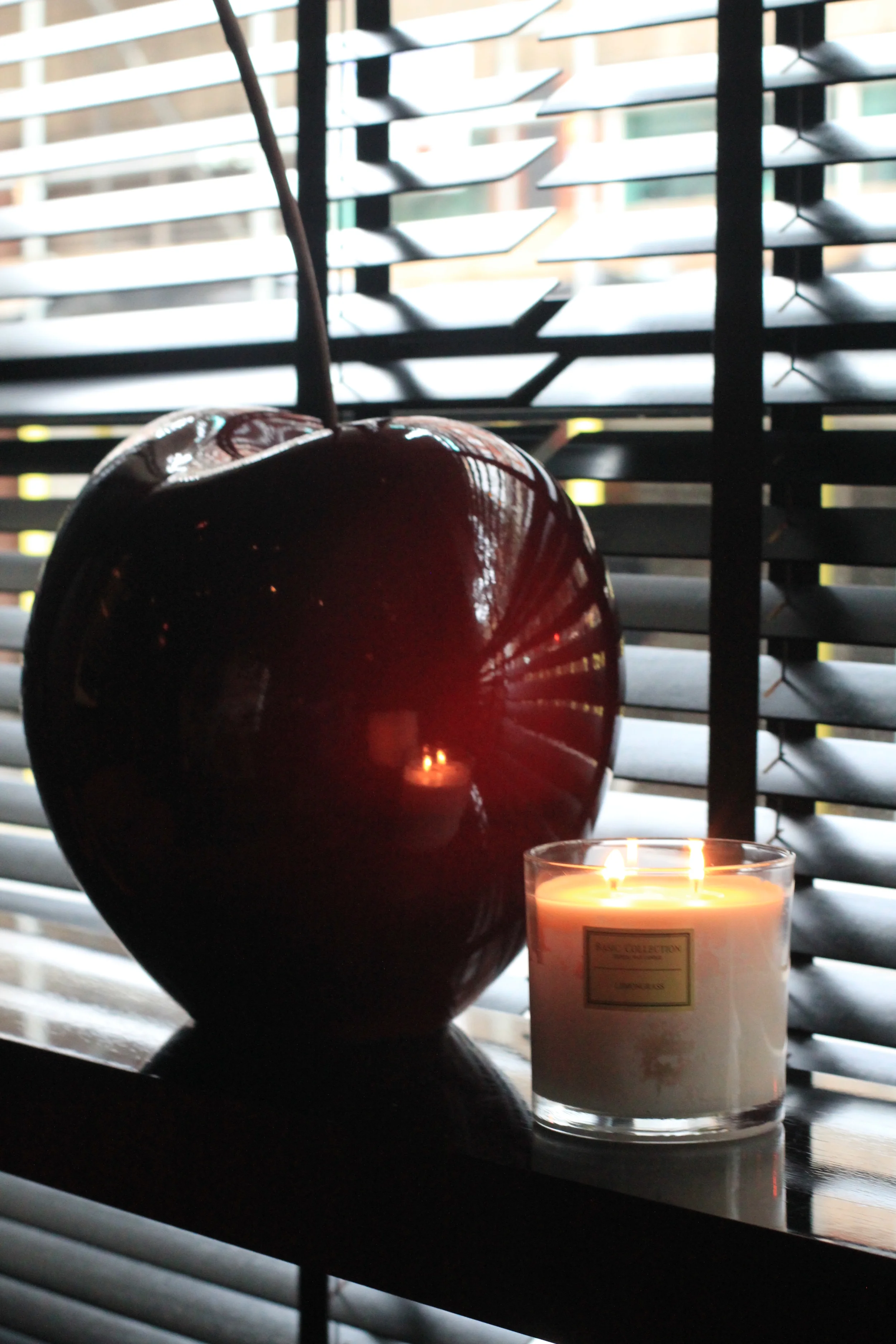 Lemongrass Candle 2 wick 650g
