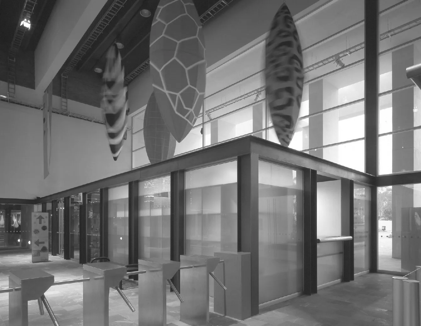 Imagina 3 - copia.JPG