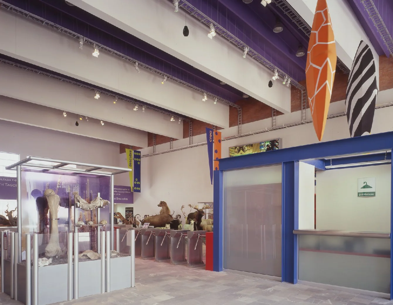 ACCESO TORNIQUETES.JPG