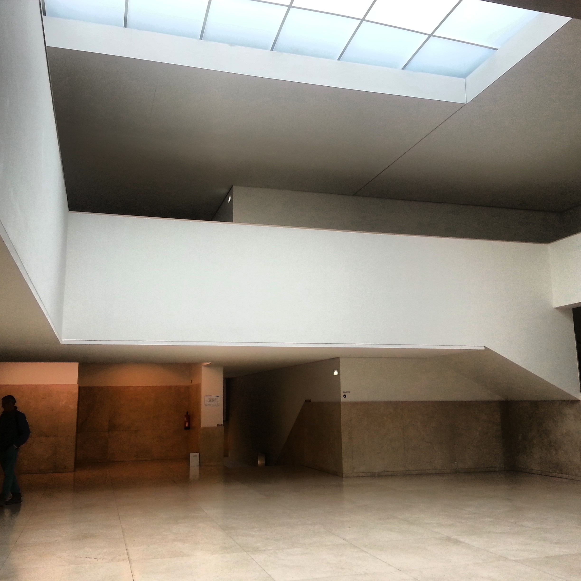 Siza - Museo Serralves.jpg