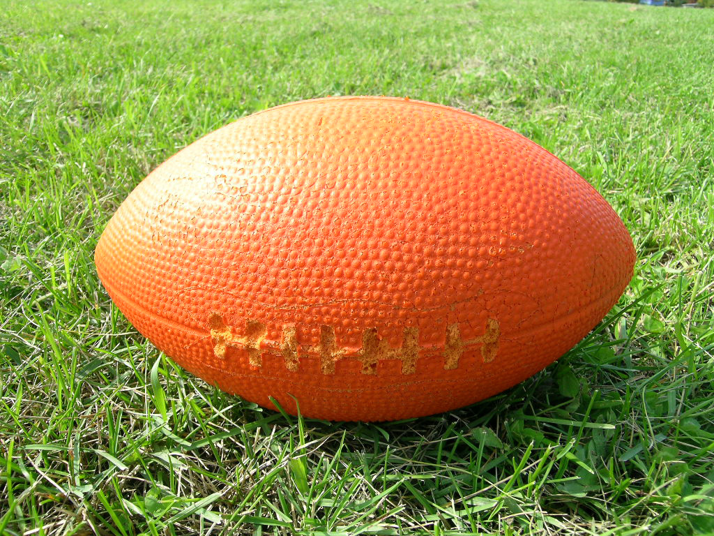 Official ball from the 1988 all backyard suburban league championship