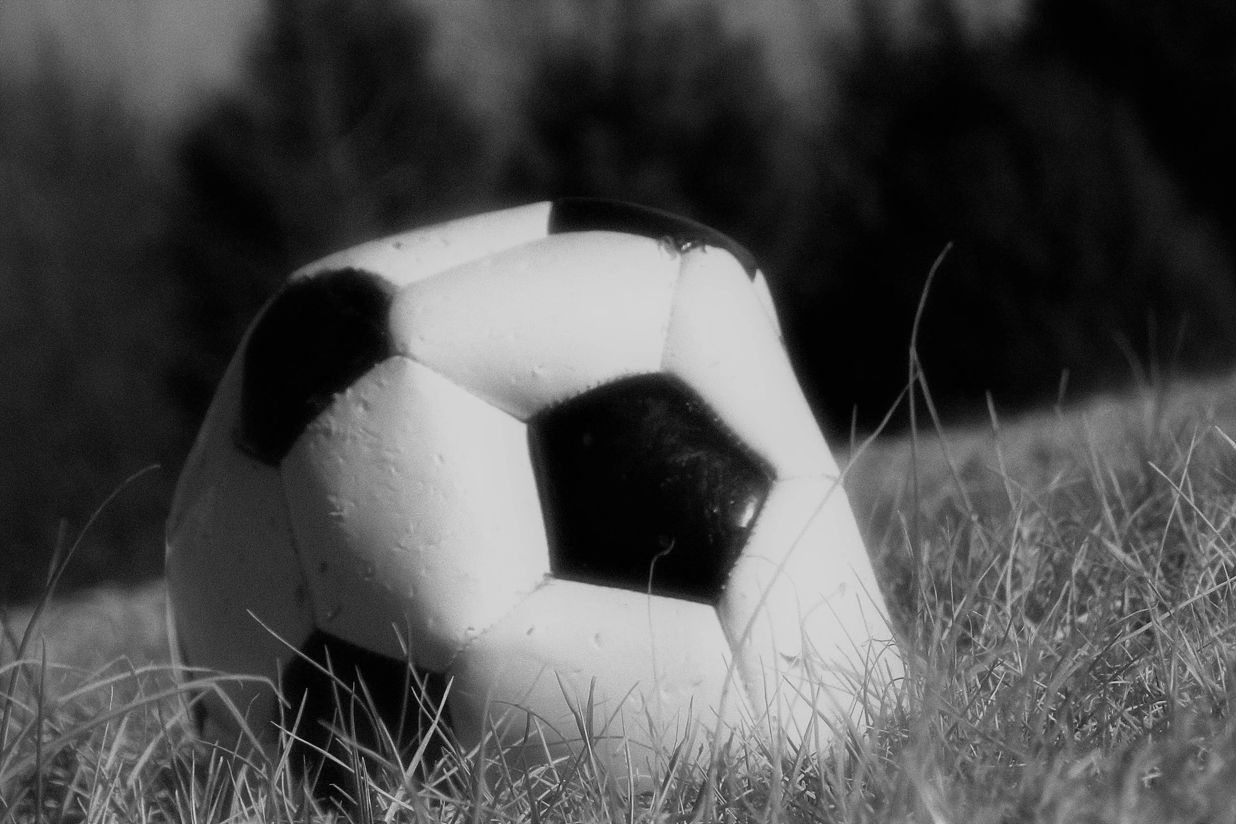 DSCN5194.jpg