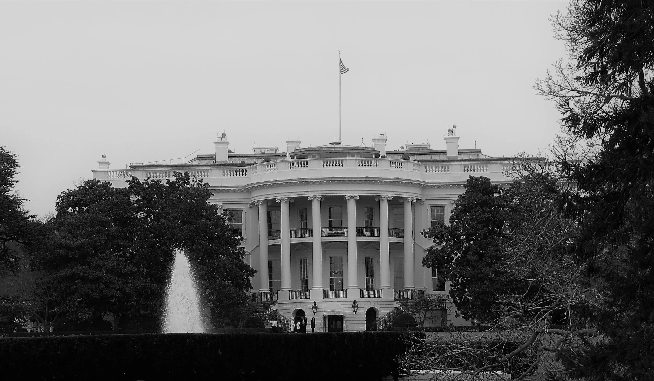 white house.jpg