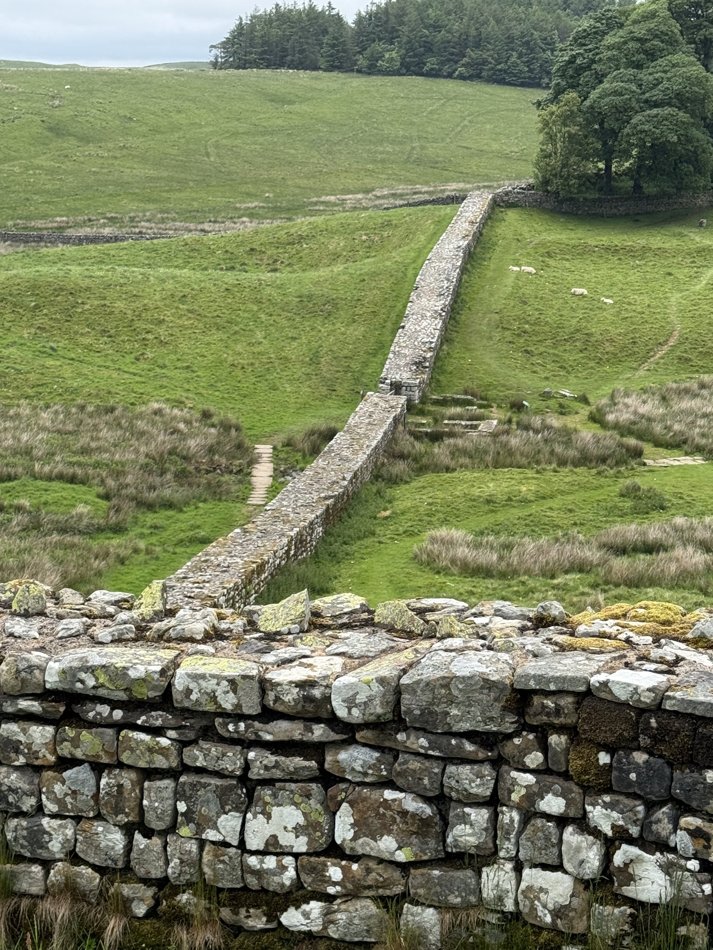 Hadrian Wall.jpg