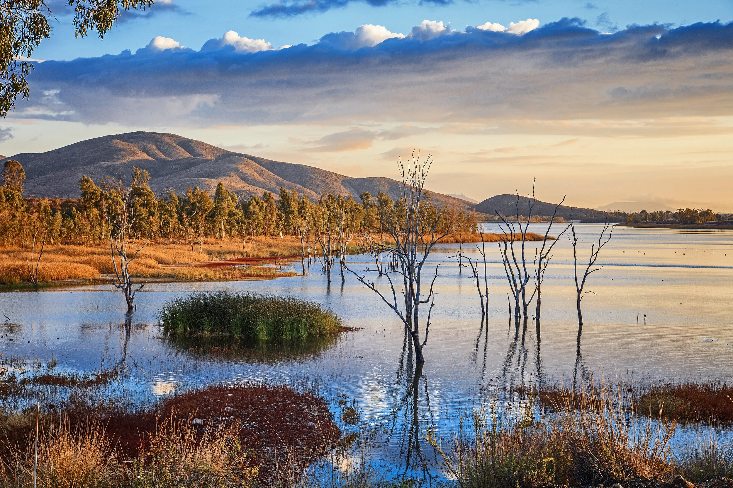 _E5A8780.jpg