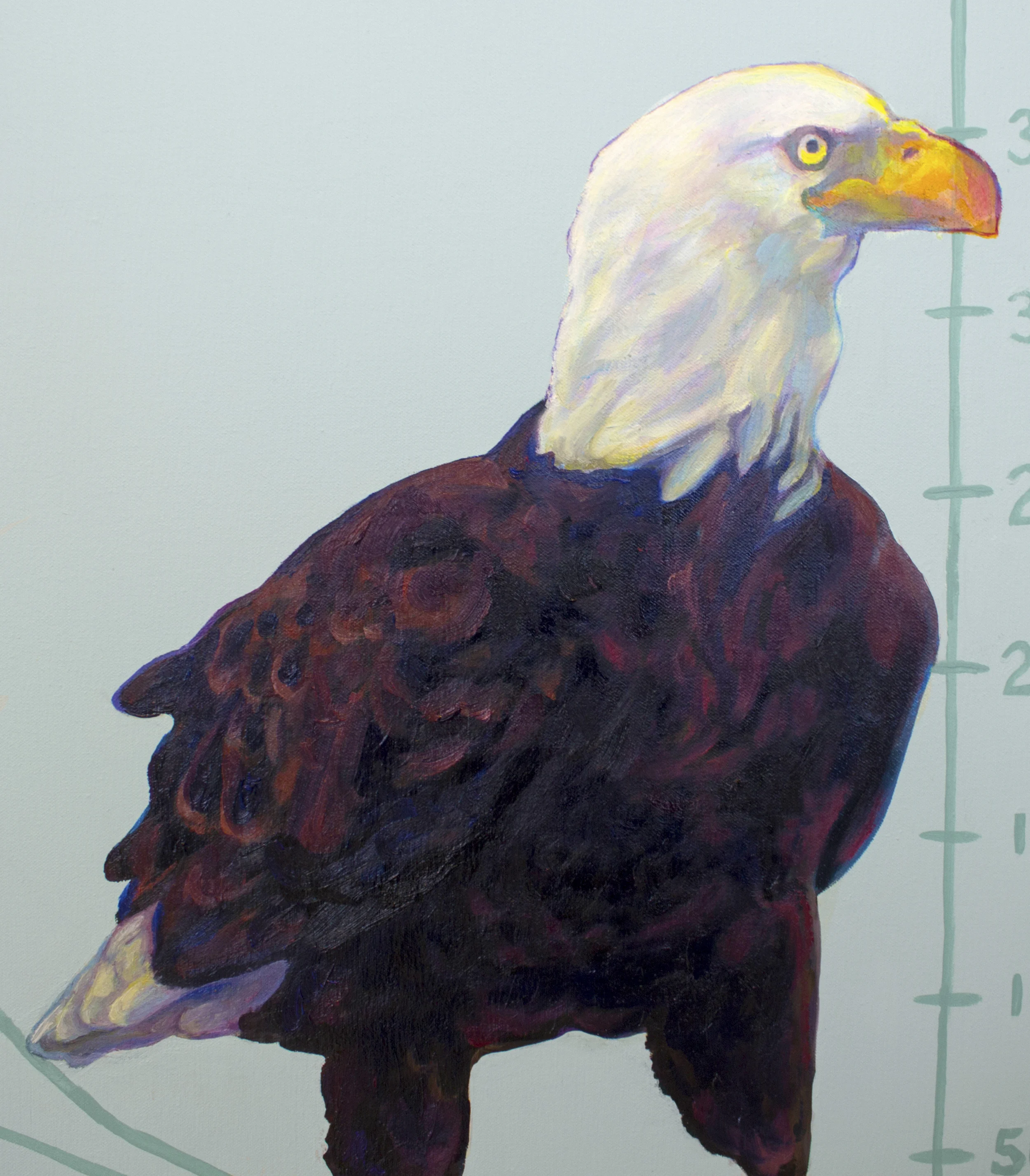 eagle_detail.jpg