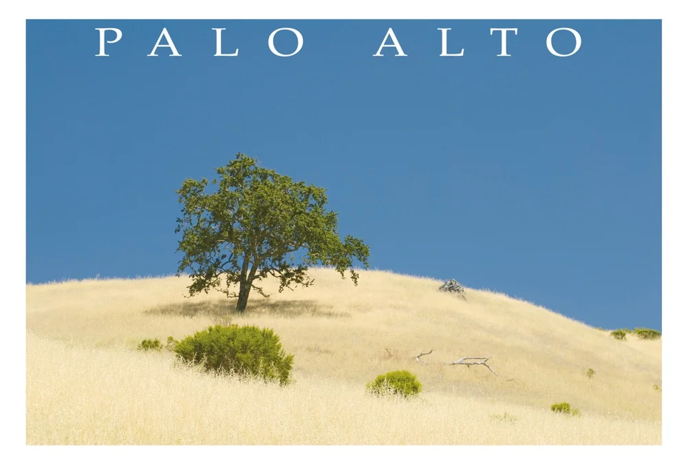 Palo Alto Postcards - restock pack of 50