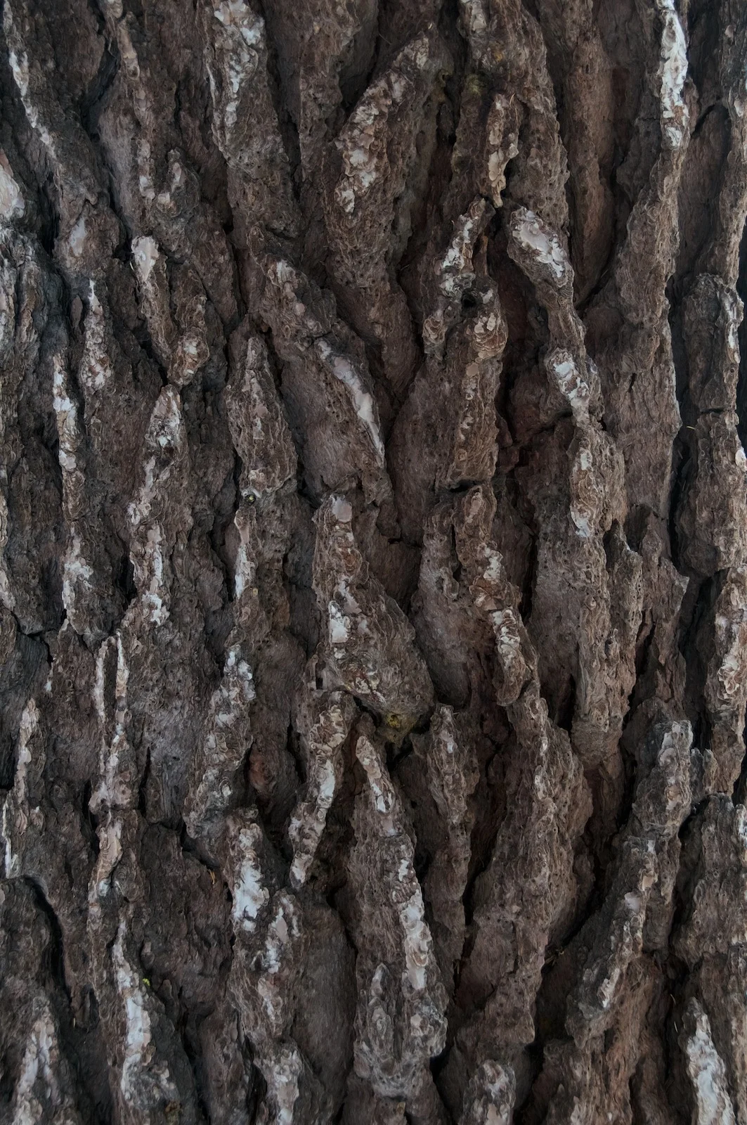 2010-0063-0139