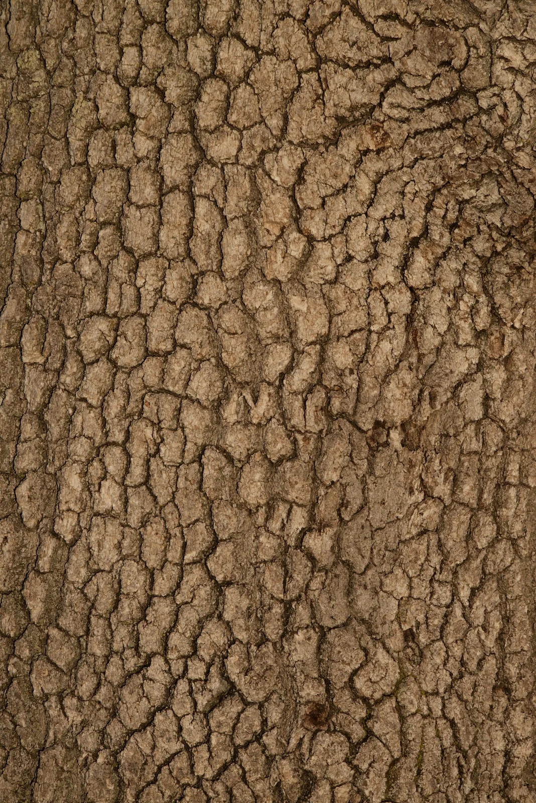 2015-0097-0166