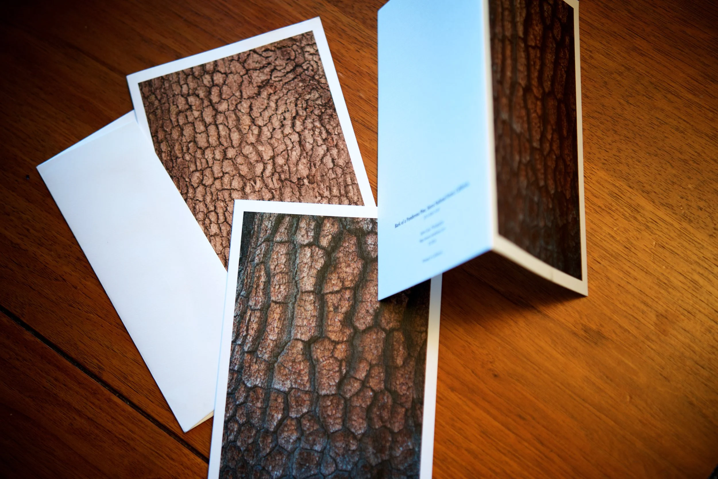 PATTERNS Bulk Unwrapped Notecards - pack of 30 cards