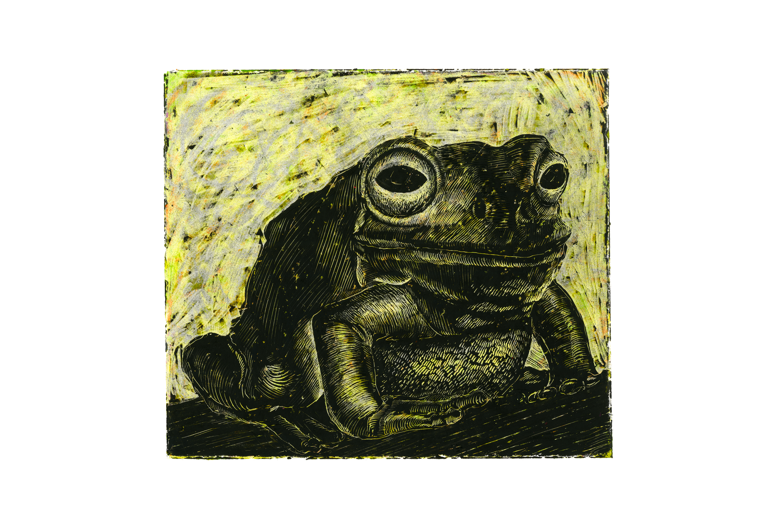 FROG | 2018