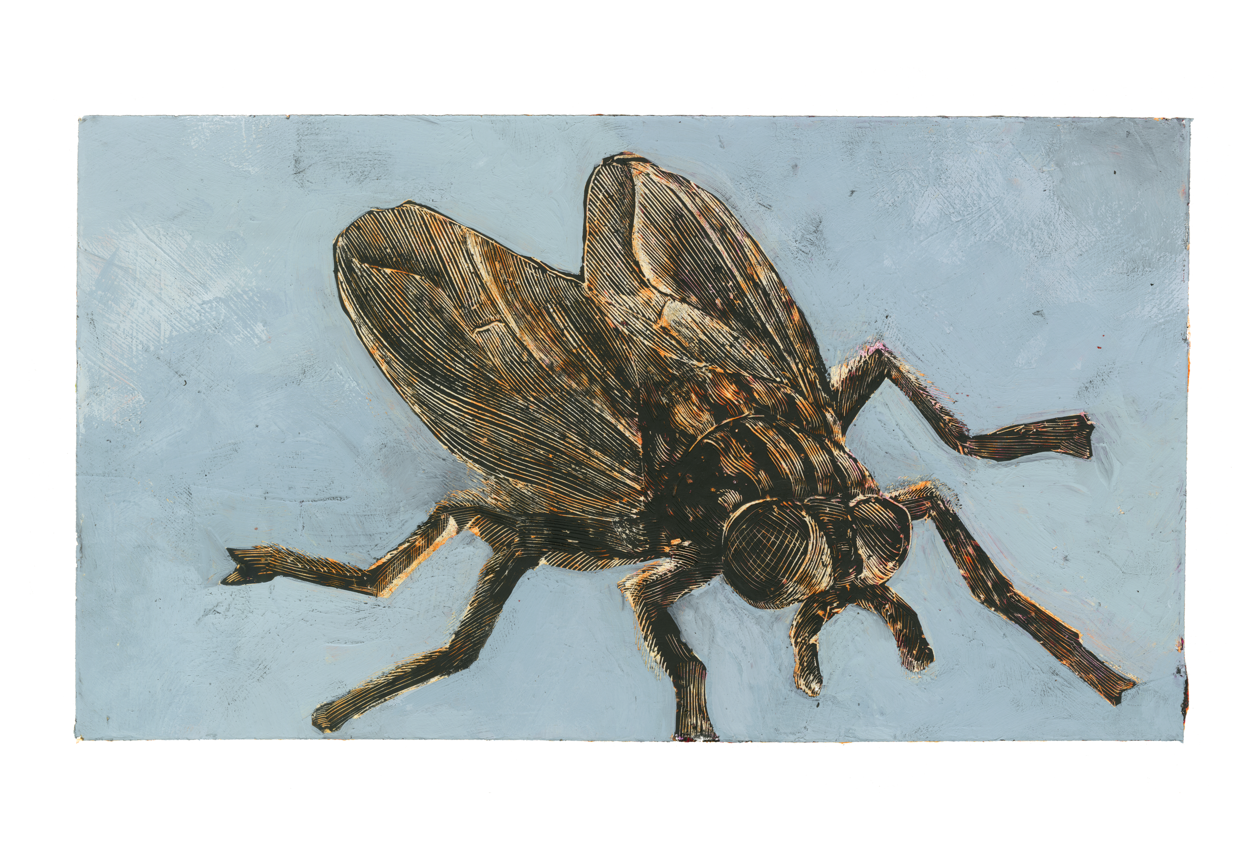 FLY | 2018