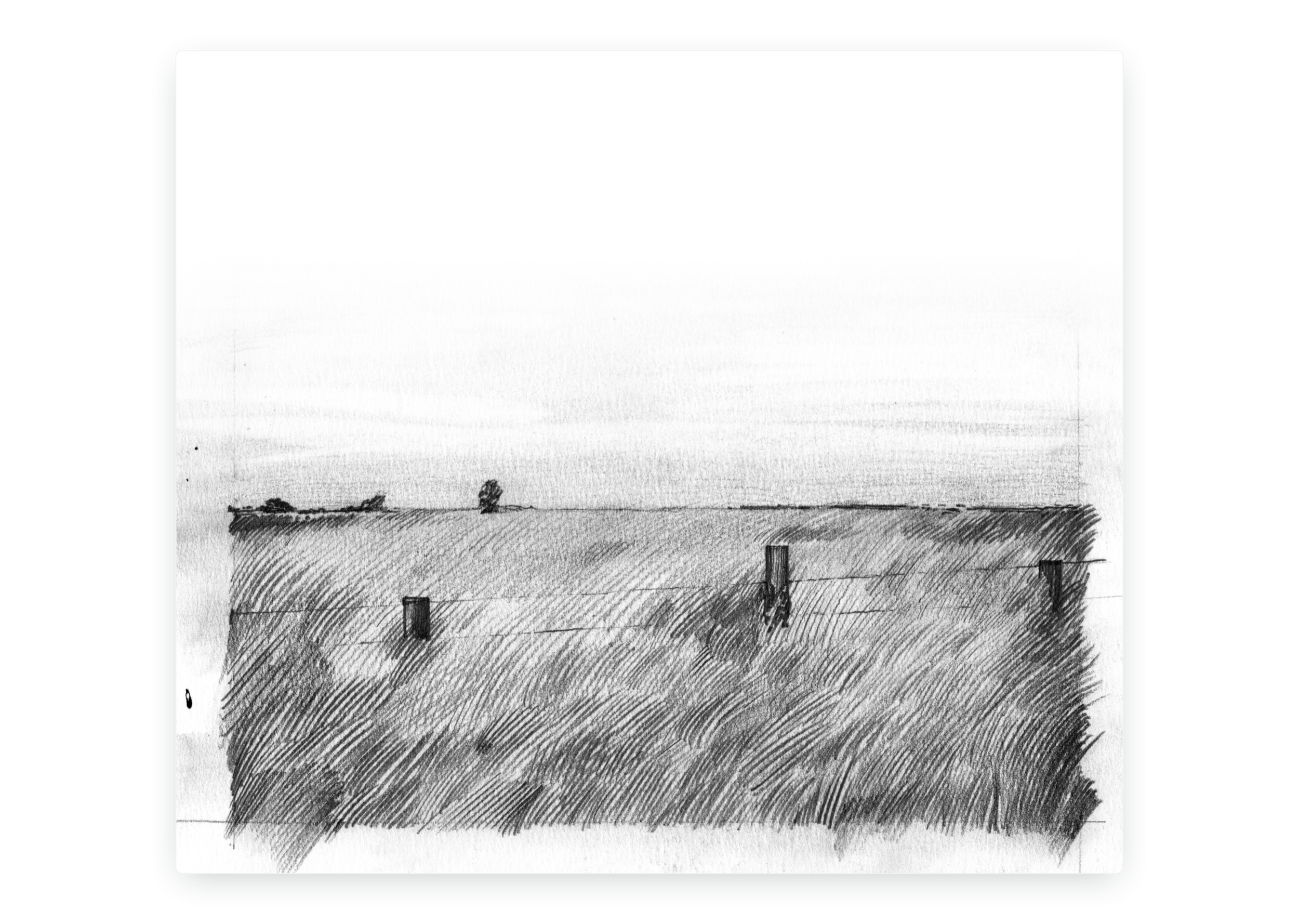 Original Graphite Drawing