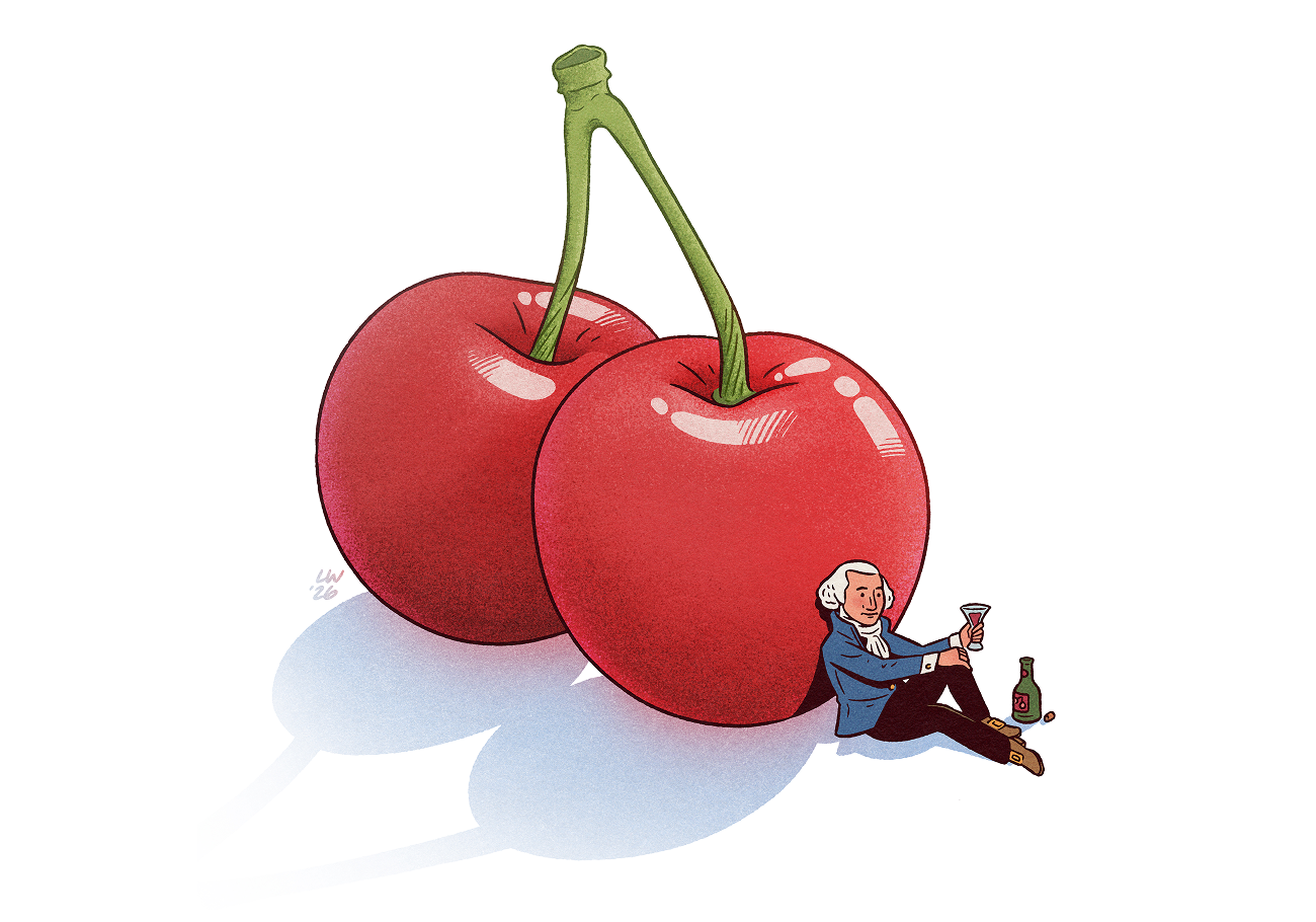 LW-NYT-CherryBounce-Full_Illo-01.png
