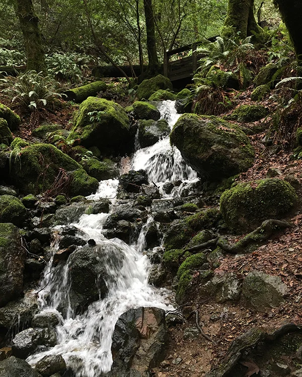 Cataracts post-El Niño