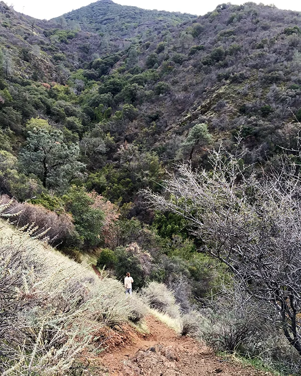 Jacob in Mt. Diablo, Jan 2, 2016.