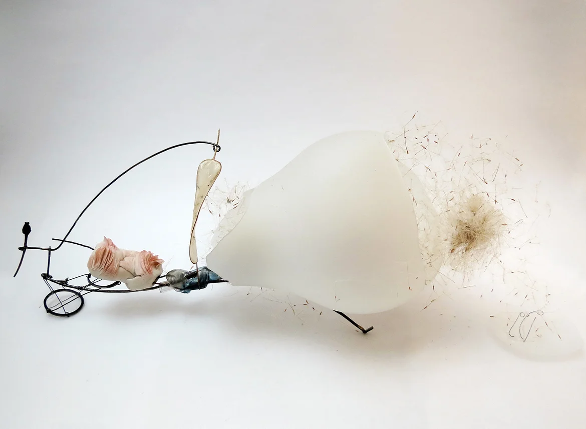 seedpod II