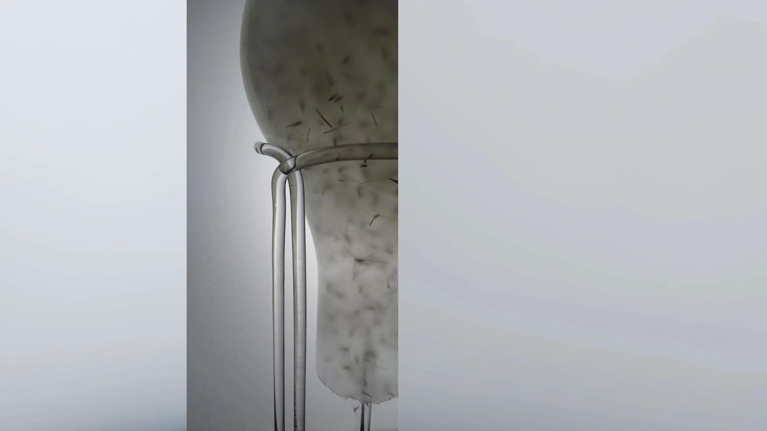 Seedpod Mill