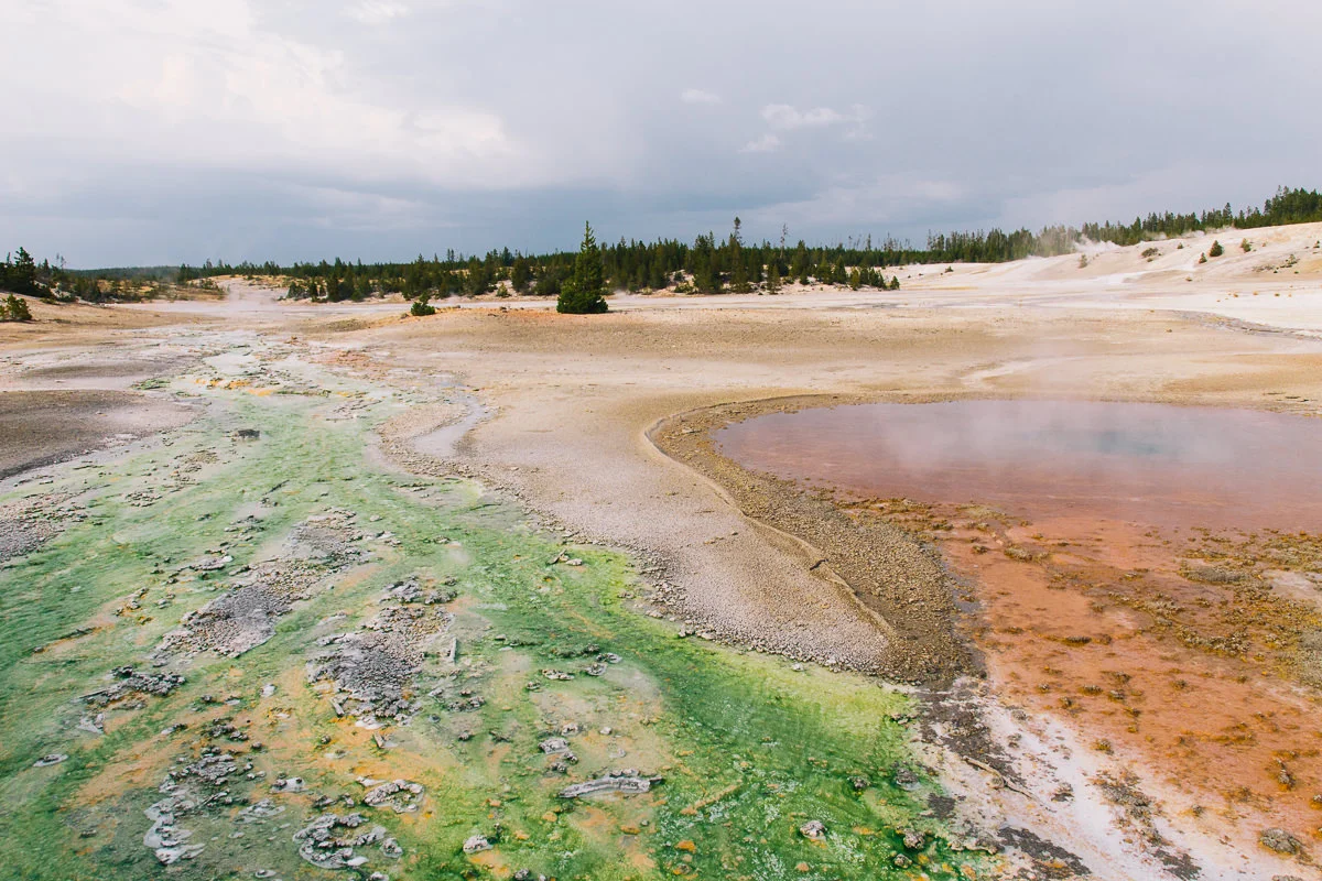 road-trip-with-kids-wyoming-thecuriosityprojectblog (111 of 123).jpg