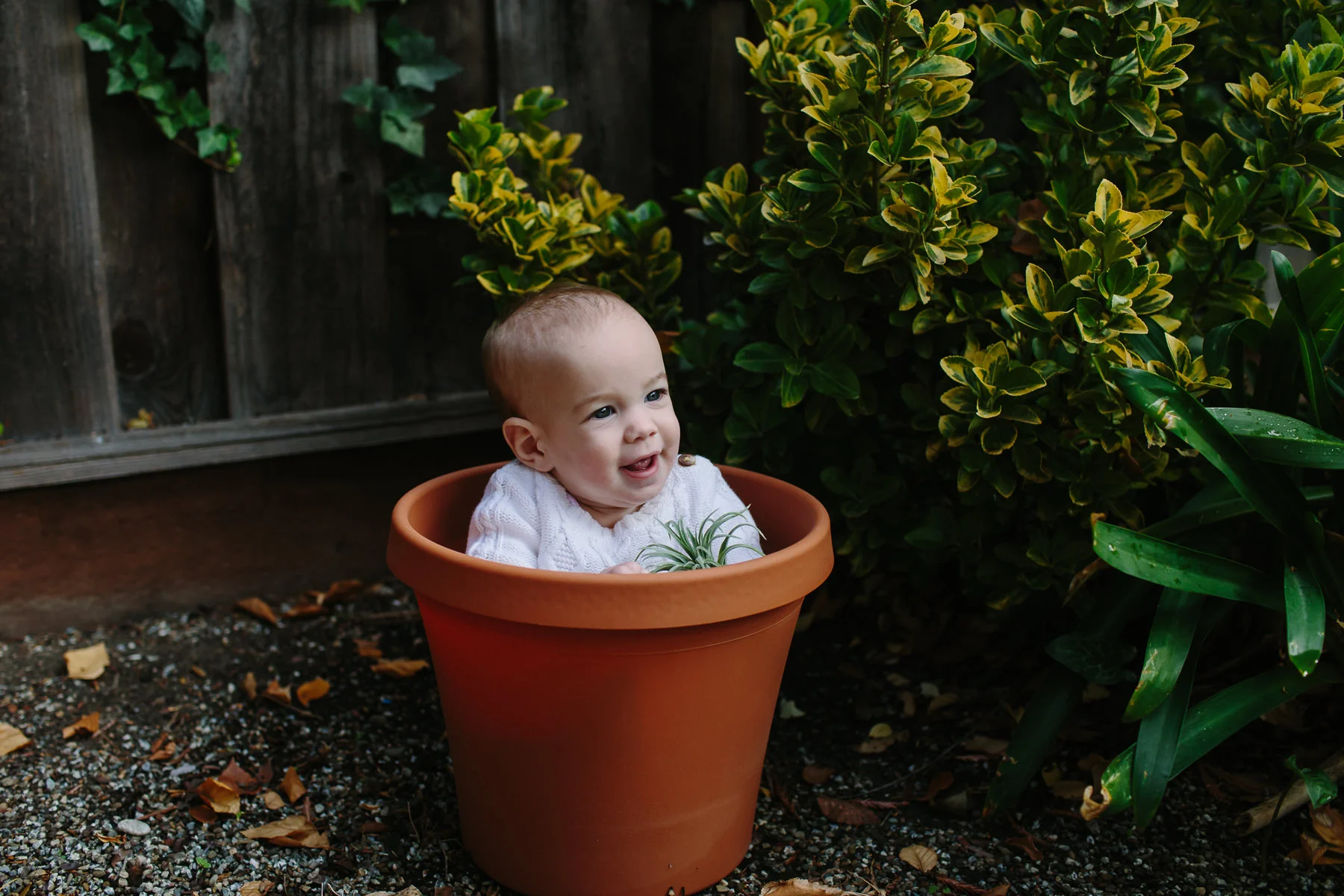 the-curiosity-project-blog-halloween-plant-lady-costumes (3 of 13).jpg