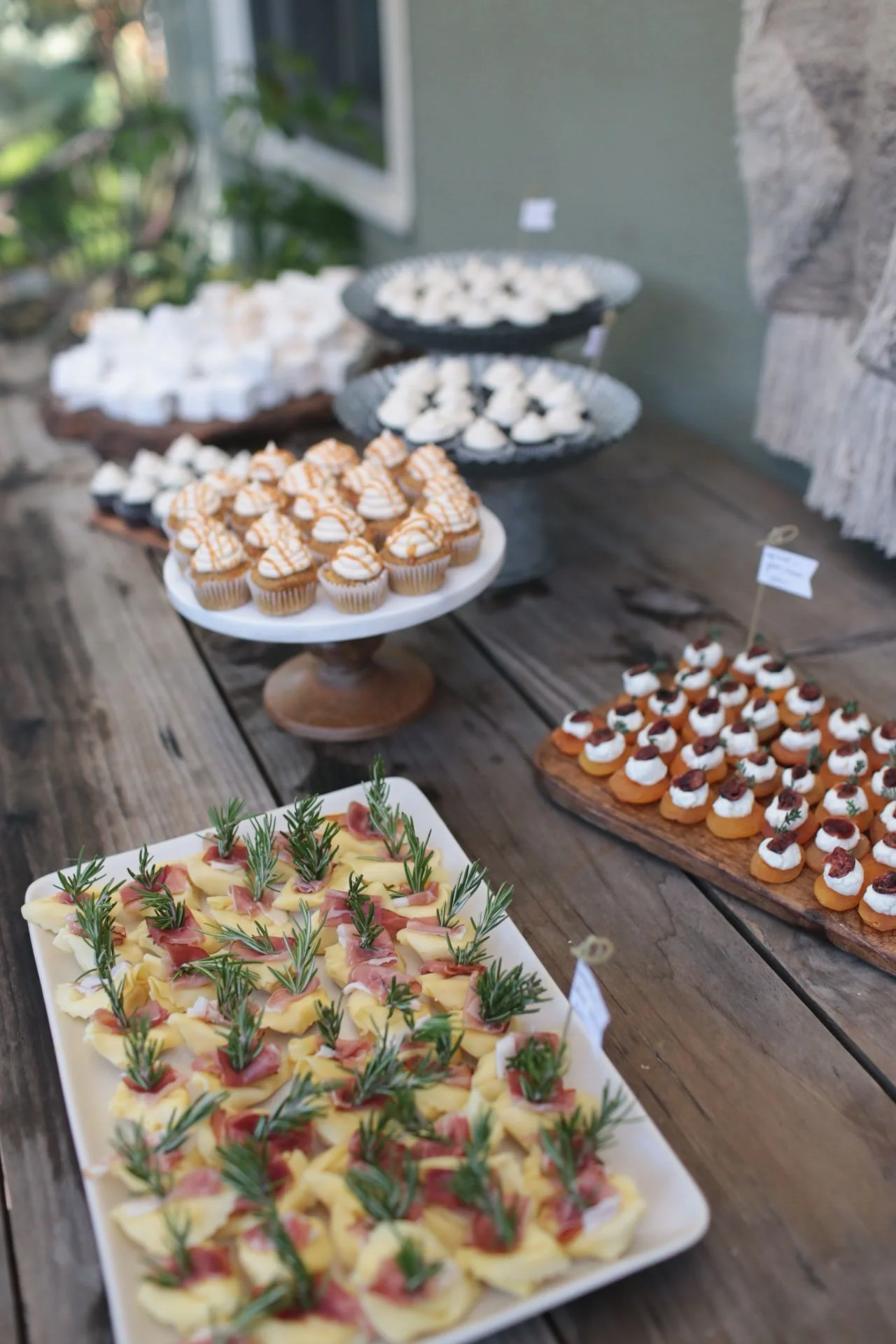 the-curiosity-project-blog-fall-party-5.jpg