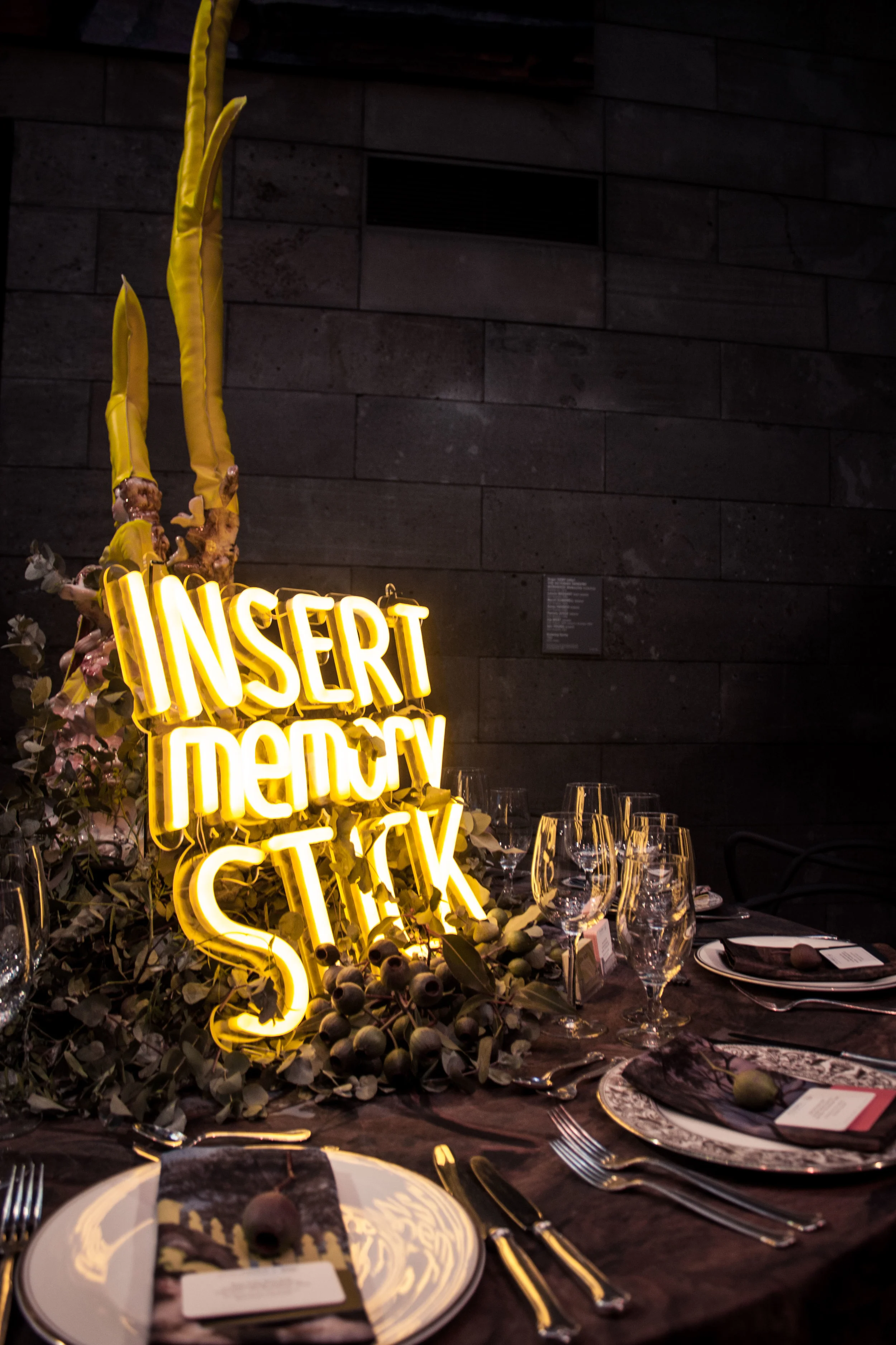 INSERT MEMORY STICK