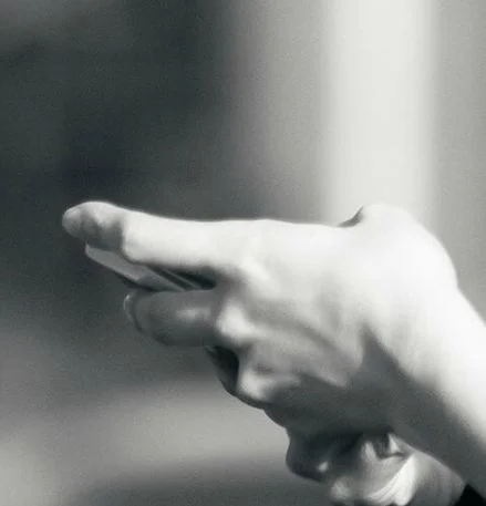 The Little Tiger Cub in our Pockets