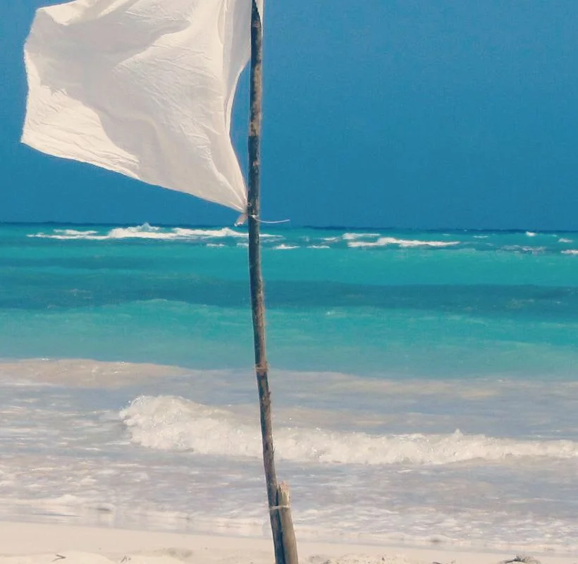 Submission vs Surrender