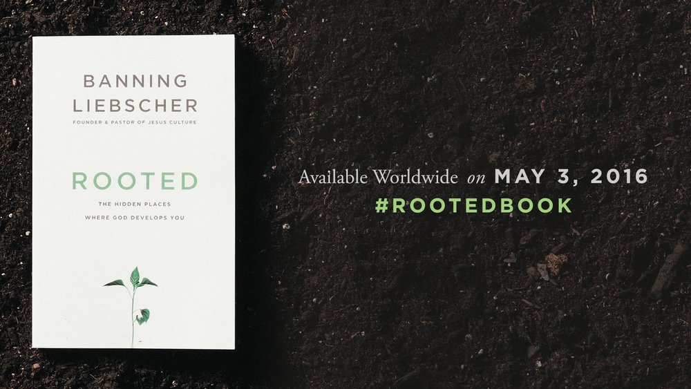 Rooted The Hidden Places Where God Develops You A Book Review Pc Walker Rooted The Hidden Places Where God Develops You A Book Review Pc Walker