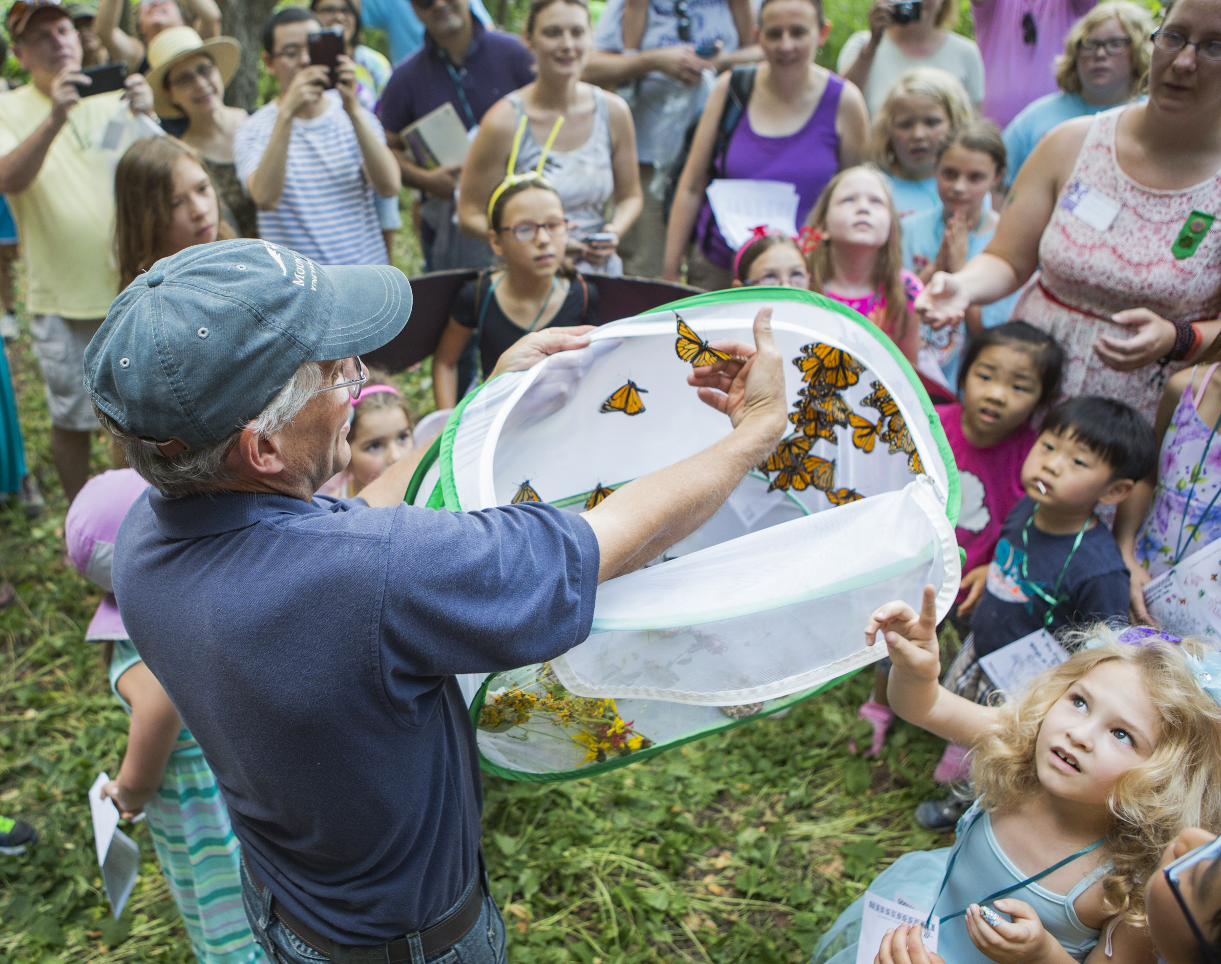 Penn State extension master gardener and community outreach coordinator Doug Ford helps the monarch butterflies from the mesh container during the butterfly release as part of Wings in the Park held at Snetsinger Butterfly Garden in Tom Tudek Memorial Park on Saturday, July 23, 2016.