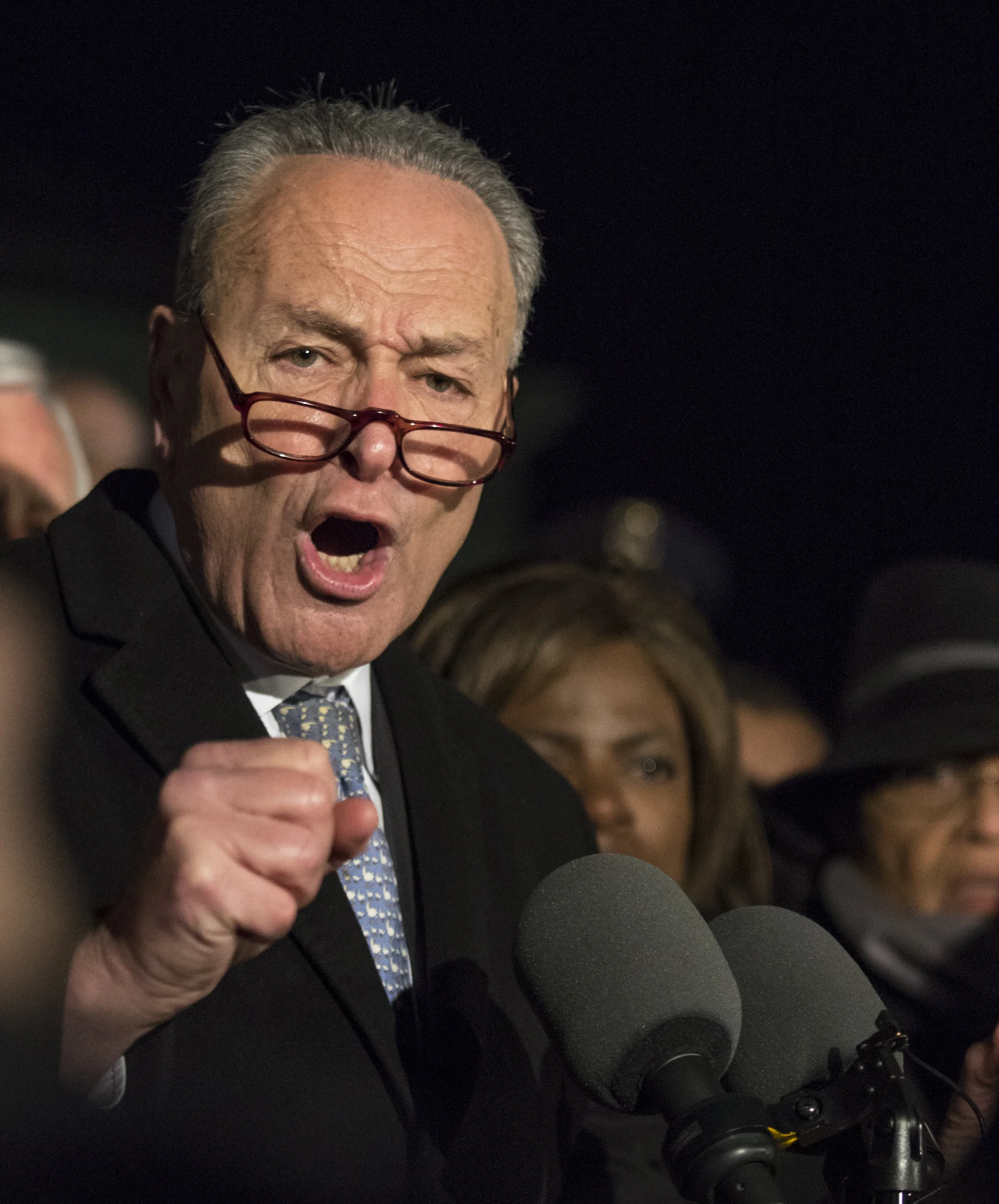 Senate Minority Leader Chuck Schumer (D-N.Y.) speaks during the rally organized by democratic lawmakers against President Trump's executive order involving immigration and travel to select countries. 