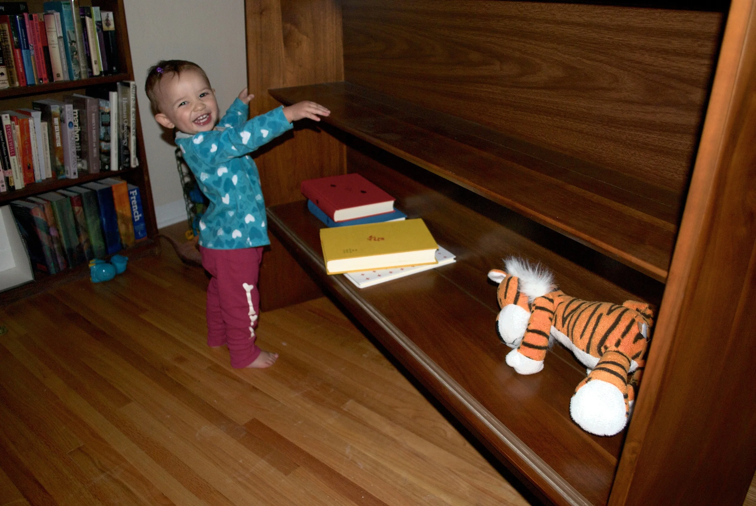 I said, "We're going to put important things in here." Iris scurried around the living room and collected Hobbes and books. This toddly has her priorities straight.
