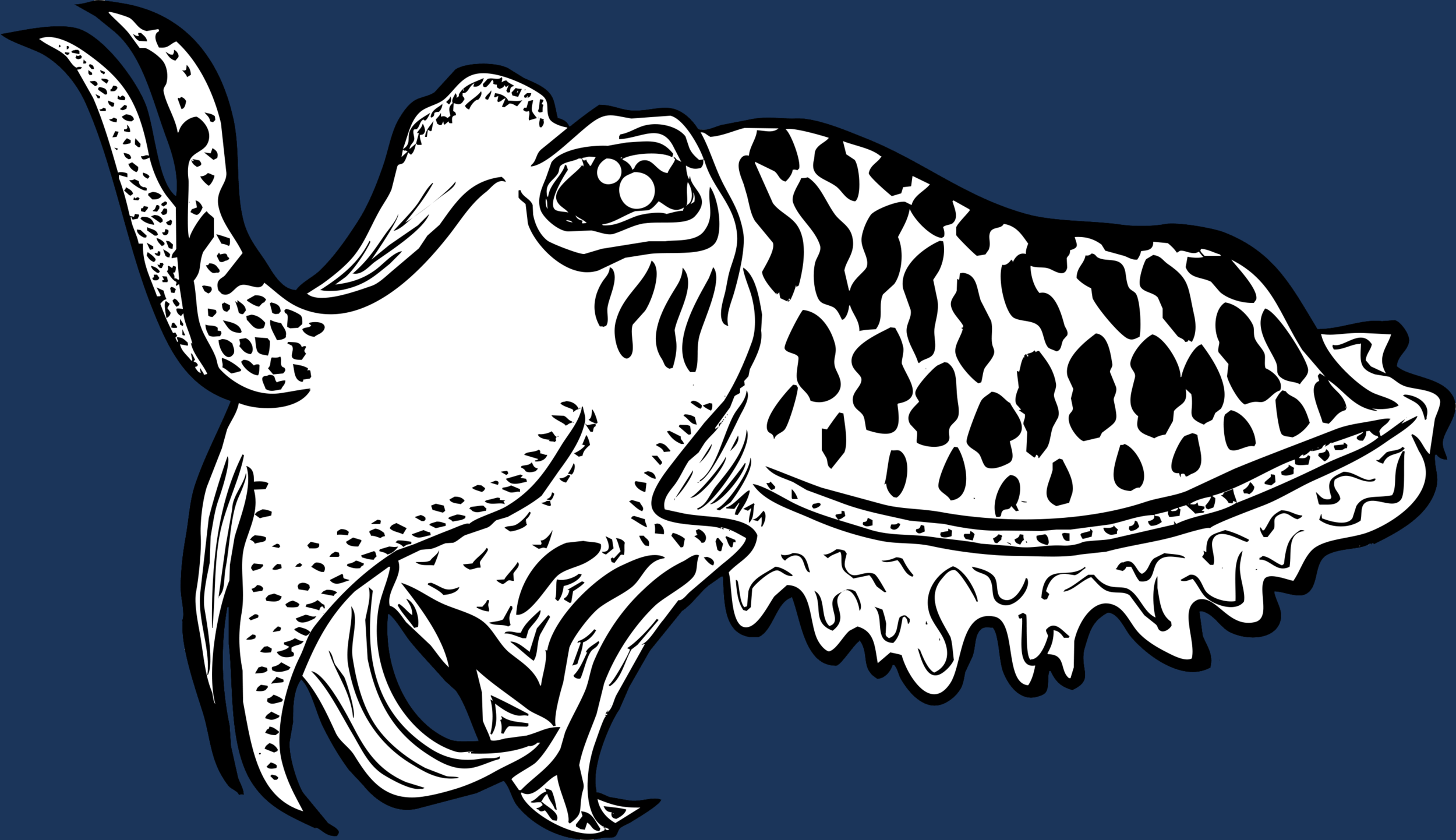 CuttlefishBlue.png