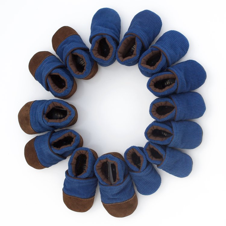 BlueShoe1.jpeg