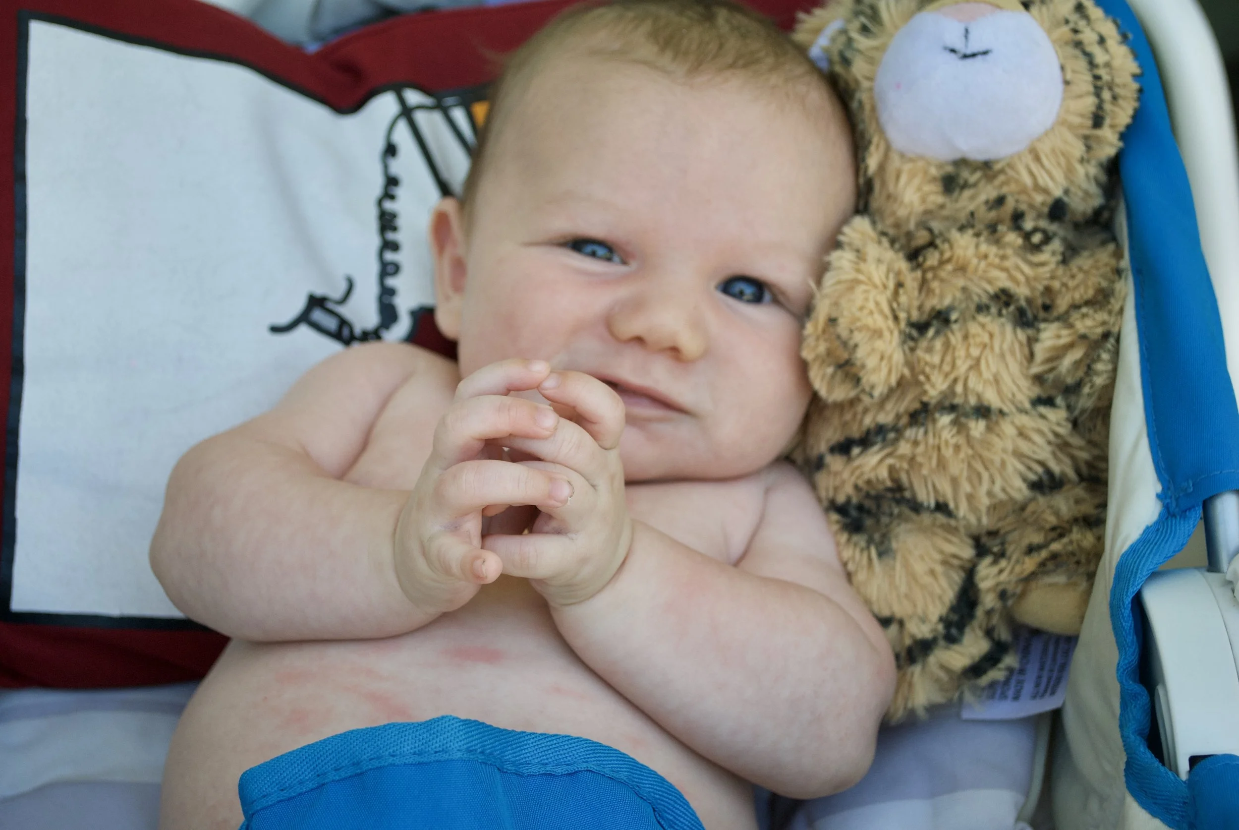 I Have a Him--Unless He Tells Me Otherwise