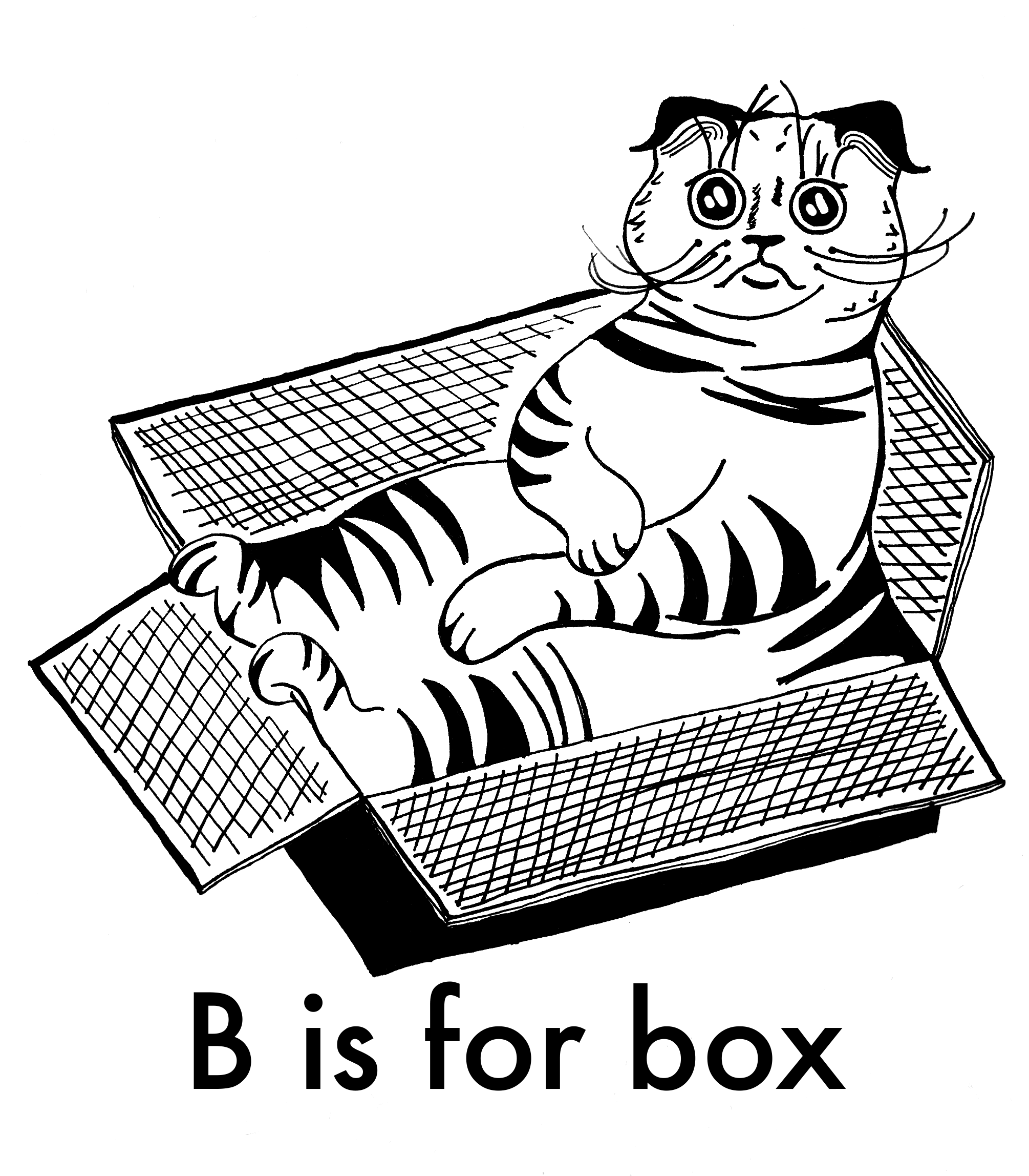 BisforBox.png