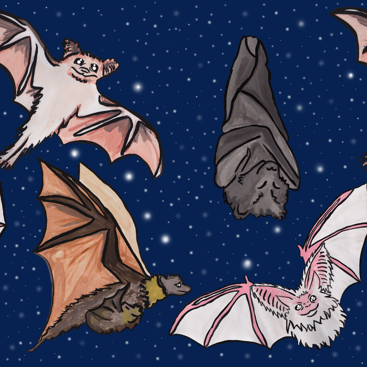 nightbats.png