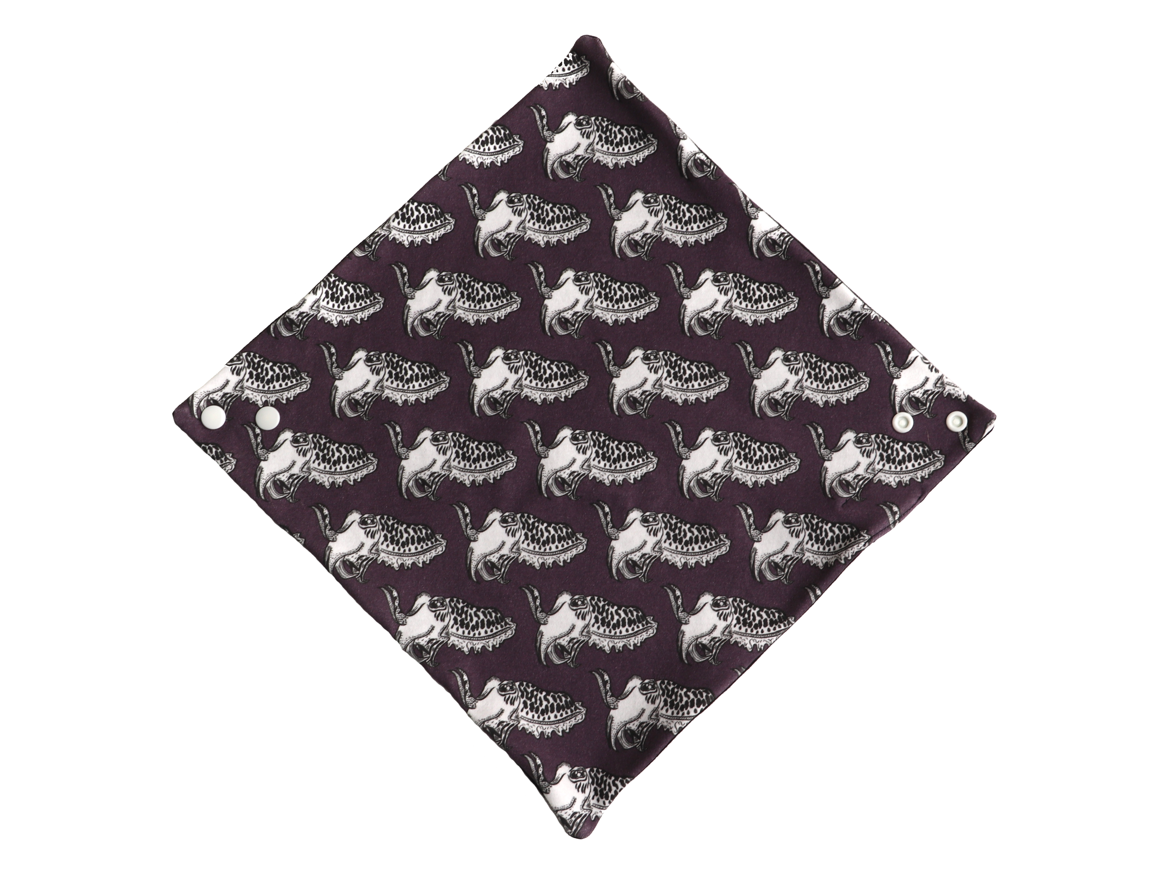 CuttlefishBandana.png