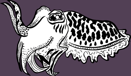 CFPurpleSolo.png