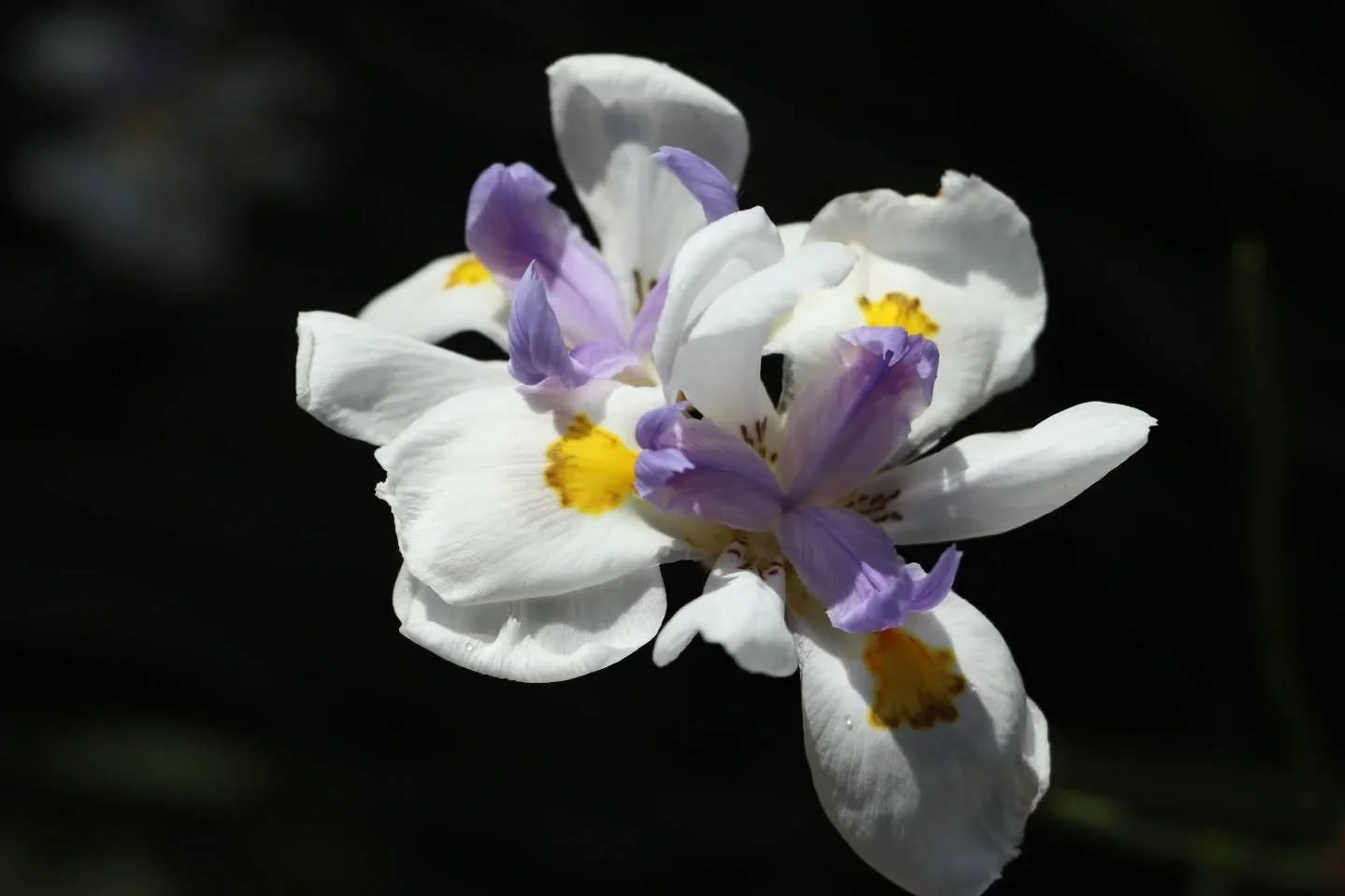 There's no talking in war. 
There's no contacting war. 
What would I say to you?
&quot;I'm turning your river from
blue into a knife, 
I'm taking your life&quot;?
I don't know you, 
If I knew you 
I would know I'm 
Made of you
I don't know me 
If I k