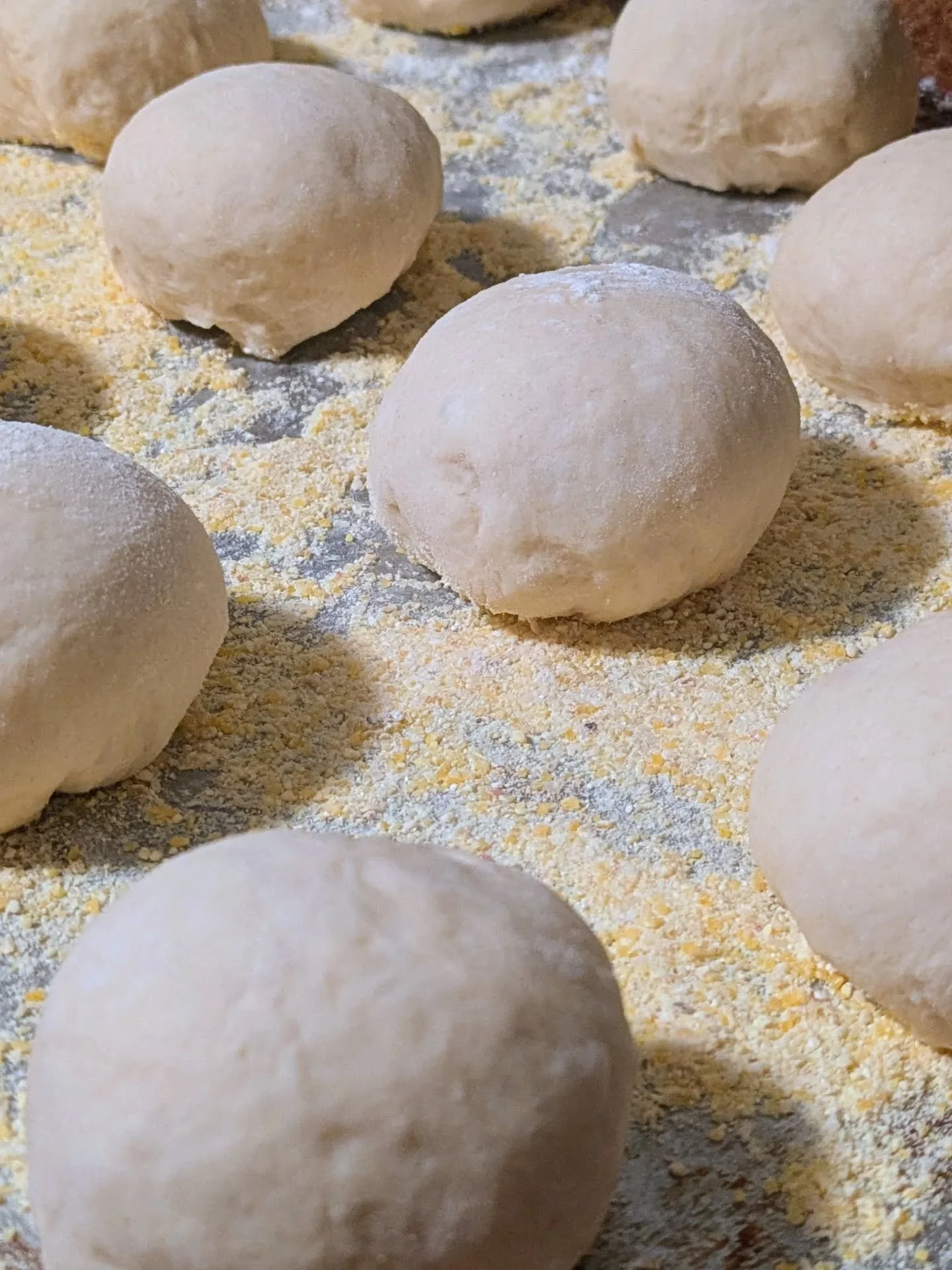 I baked english muffins, garlic knots, and focaccia. Where are the words? Caught in my throat, I've been crying. Crying, only possible when you're touching the infinite, the red autumn rose with the cold bare stems, the one you love and the memory of