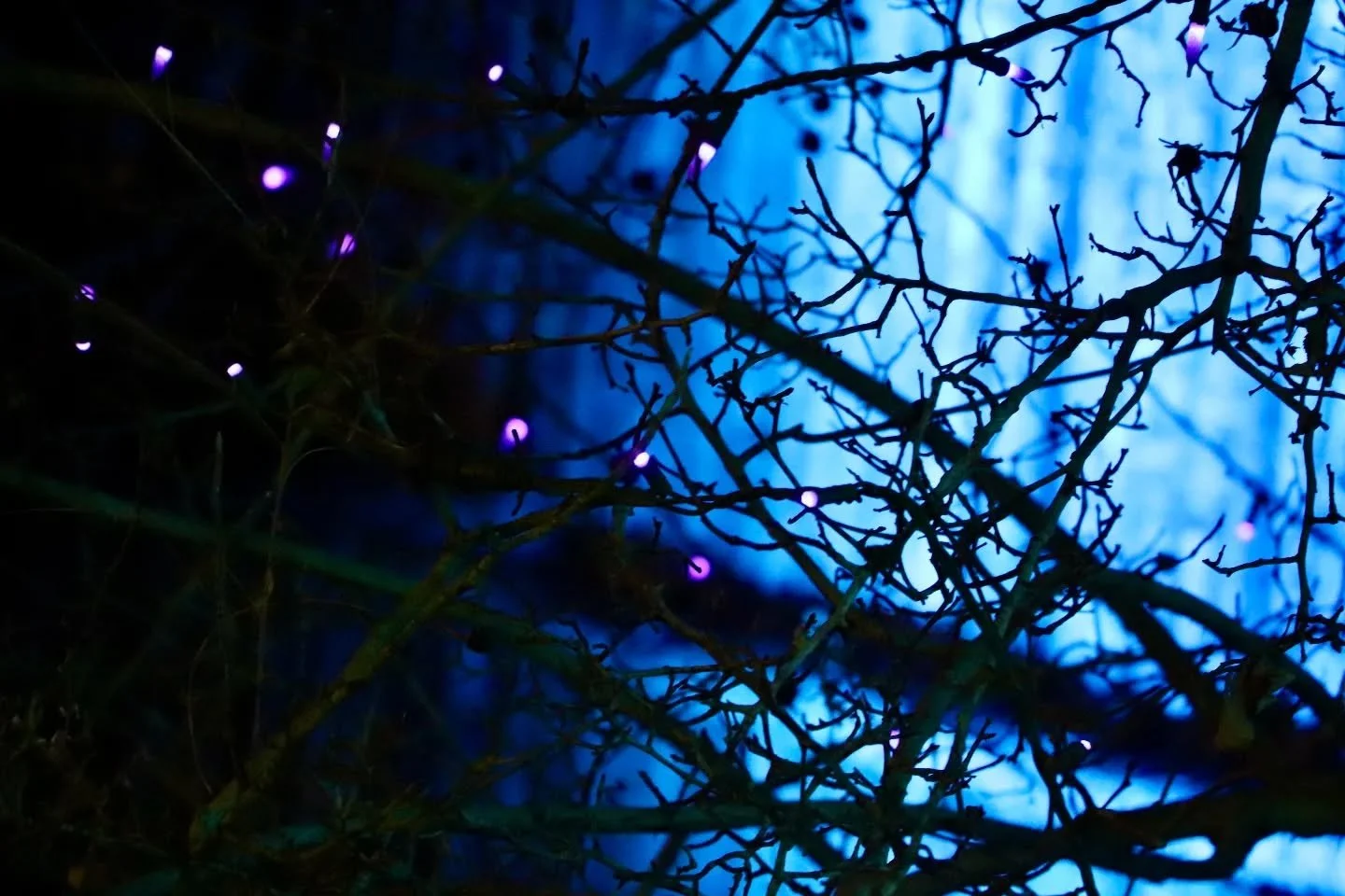 There is no threat to the artist, there is only threat to the people who want to connect to the earth but want it to be easy. It never has been, there have always been obstructions and distractions. The song of the morning is David Lynch's "Good