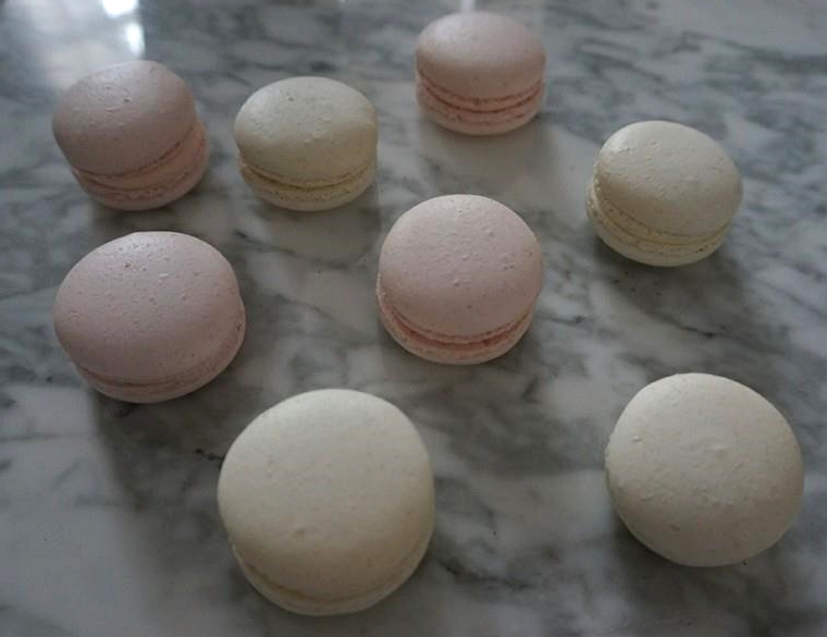 Pastel Pink Macarons
