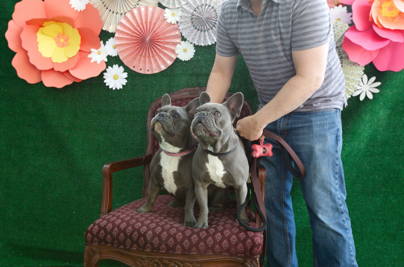 The pet owners had a blast teaching their dogs new tricks and taking photos with them. 