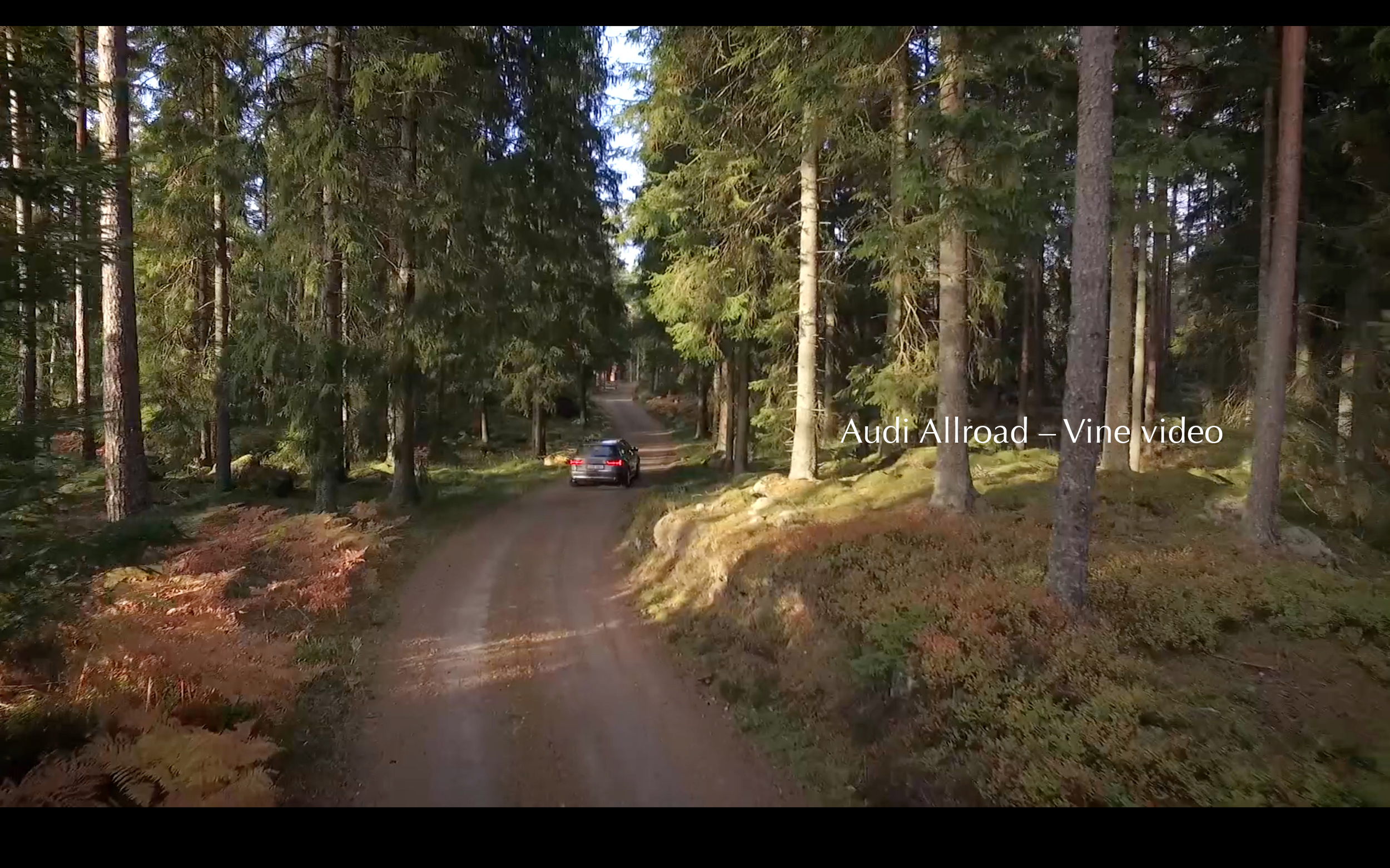 Vine: Audi Allroad