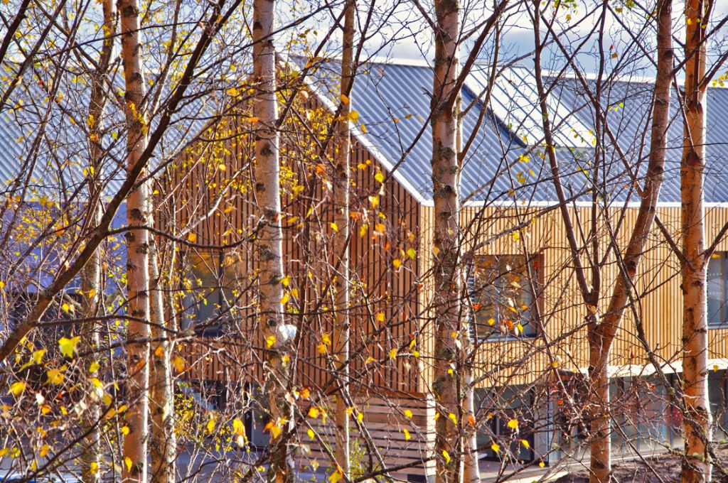 Museum-Store-behind-the-trees.jpg