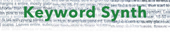 Keyword.png
