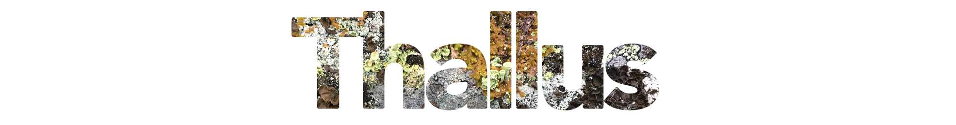 logobanner2.png