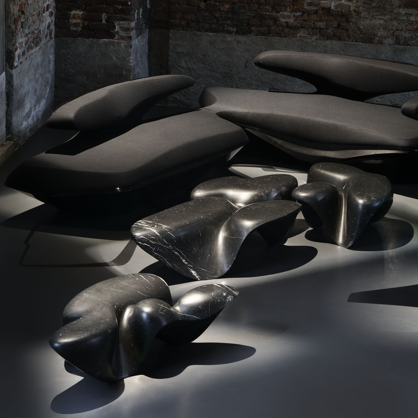 1. ZH 'Mercuric' and 'Zephyr' Black.jpg